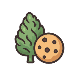 BiscottiStrain